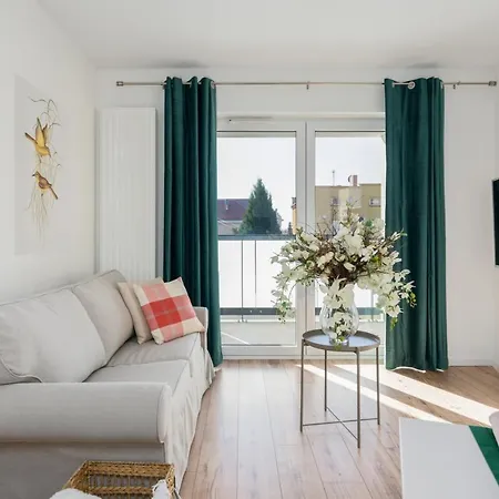 Rejtana By Renters *